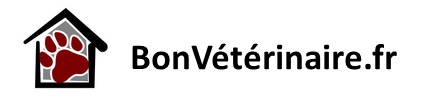 BonVétérinaire